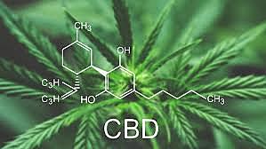 Farm Bill 2018; Hemp