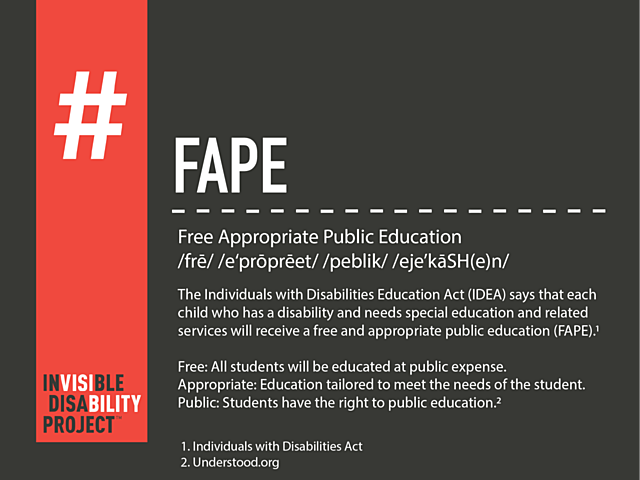 Individuals with Disabilities Education Act (IDEA)