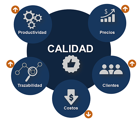 Etapas del Desarrollo de Calidad