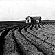 Tenantless farm texas panhandle 1938