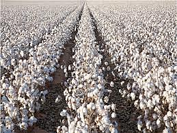 Farm Security and Rural Investment Act (FSRIA)