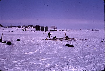 The families with the sanitary sewer, clean water are healthier: 1974