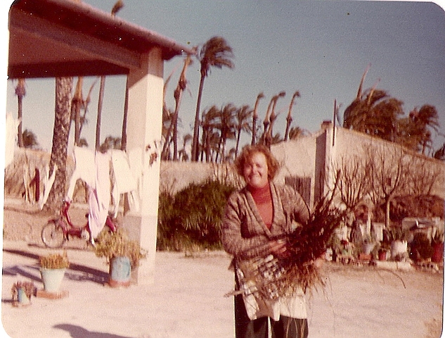 Continua treballant en la màquina i en el camp