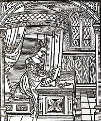 Diego de San pedro escribe  Cárcel de amor