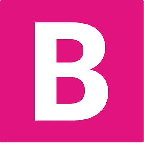 Radikale venstre blev dannet