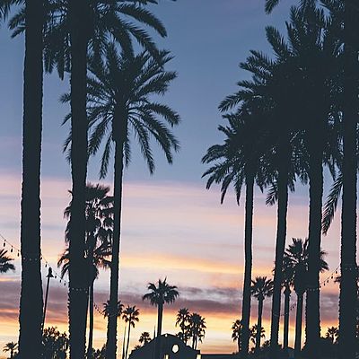 Timeline: camila's and lucia's life....