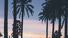 Timeline: camila's and lucia's life....