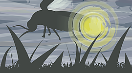 Timeline: A Civil Rights Timeline