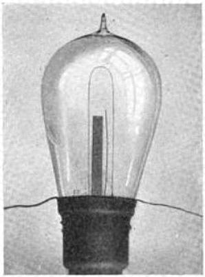 Light Bulb