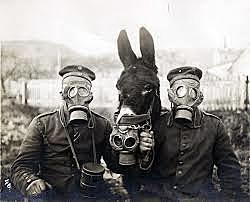 Gas mask