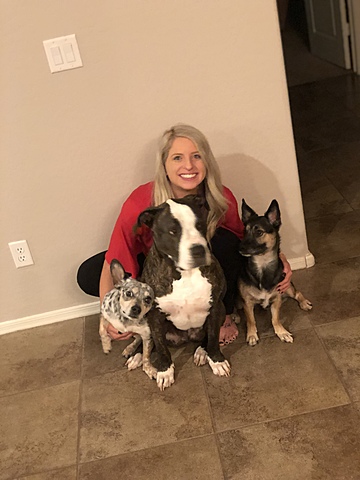 Began student teaching