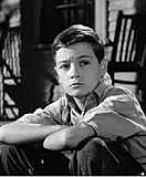 Jem destroys Mrs. Dubose's camillia bushes.