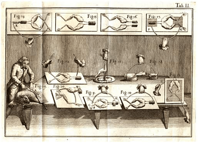 Von Helmohlz- Electrism