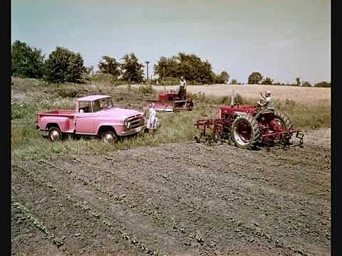 Food and Agricultural Act of 1965