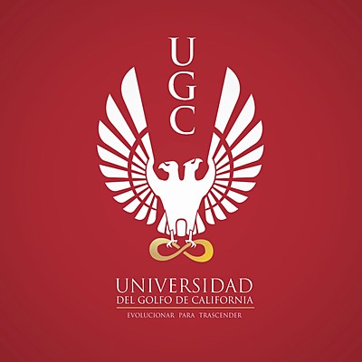 Timeline: INICIOS DE INTERNET Y SU EVOLUCIÓN