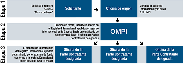 Desarrollo de Actividades