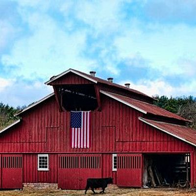 Timeline: A Glimpse of Past and Present Farm Bills