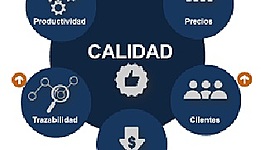 Timeline: CONCEPTO DE CALIDAD