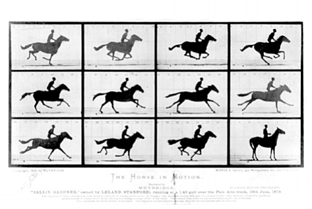 Eadweard Muybridge