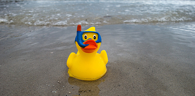 Tag des Quitscheentchens