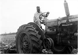 Farm Bill of 1954