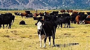 U.S. Farm Bill of 2014