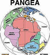 Fin del Paleozoico, junto al Pérmico.