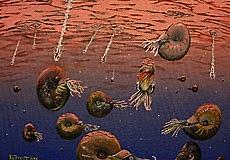 Deja de existir Pangea I.