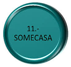 SOMECASA (Sociedad Méxicana de Calidad de  la Atención a la Salud)