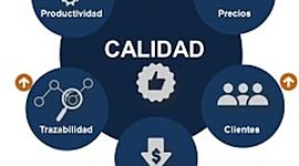 Timeline: Evoluciòn de la calidad