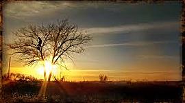 Timeline: Jimmy Santiago Baca: A Place To Stand