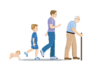 Etapa de crecimiento (7 años)