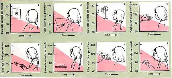 Systematic Desensitization