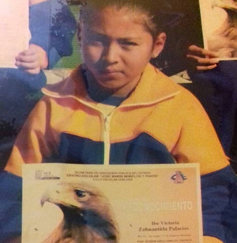 Diploma en Primaria