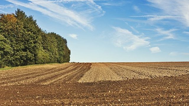 Recolección muestras de suelo