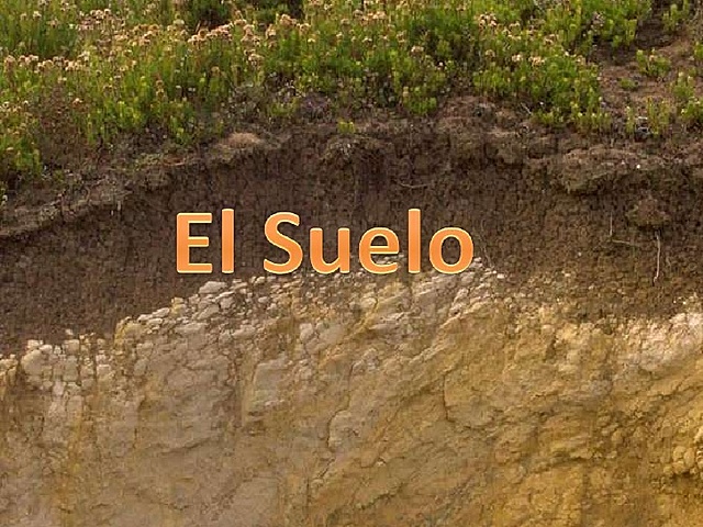 resumen de la Importancia del suelo