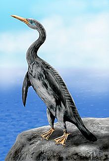 COPEPTERYX