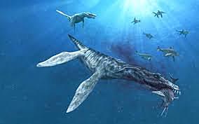 LIOPLEURODON