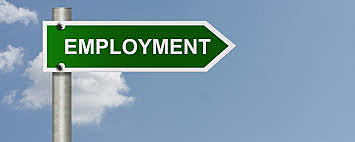 Wildlife Photography Employment