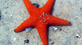 Timeline: School Timeline