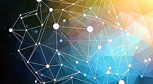 MICROSOFT & NETSCAPE