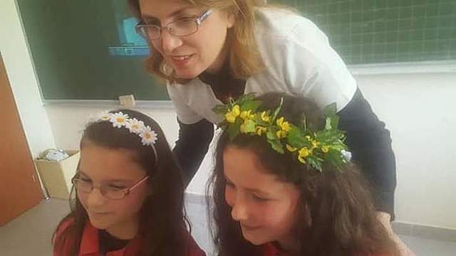 Finding information about autumn and winter flowers which grow in your city or district