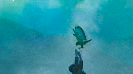 Timeline: My side of the Mountain!