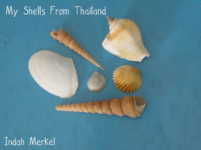 Went to the Sea of Thailand