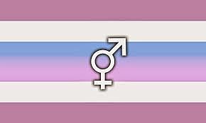 Día de la Solidaridad Intersexual