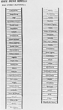 Scala Naturae, Aristoteles