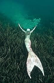 Prologue - The Beginning