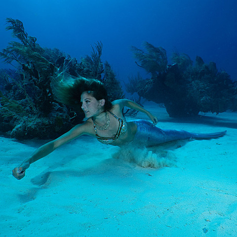 Chapter 5 - True Origins