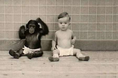 Daniel Dennett's Birth