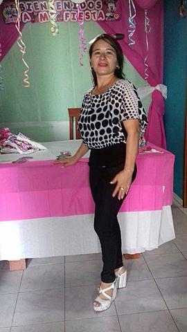 Partidos políticos tradicionales